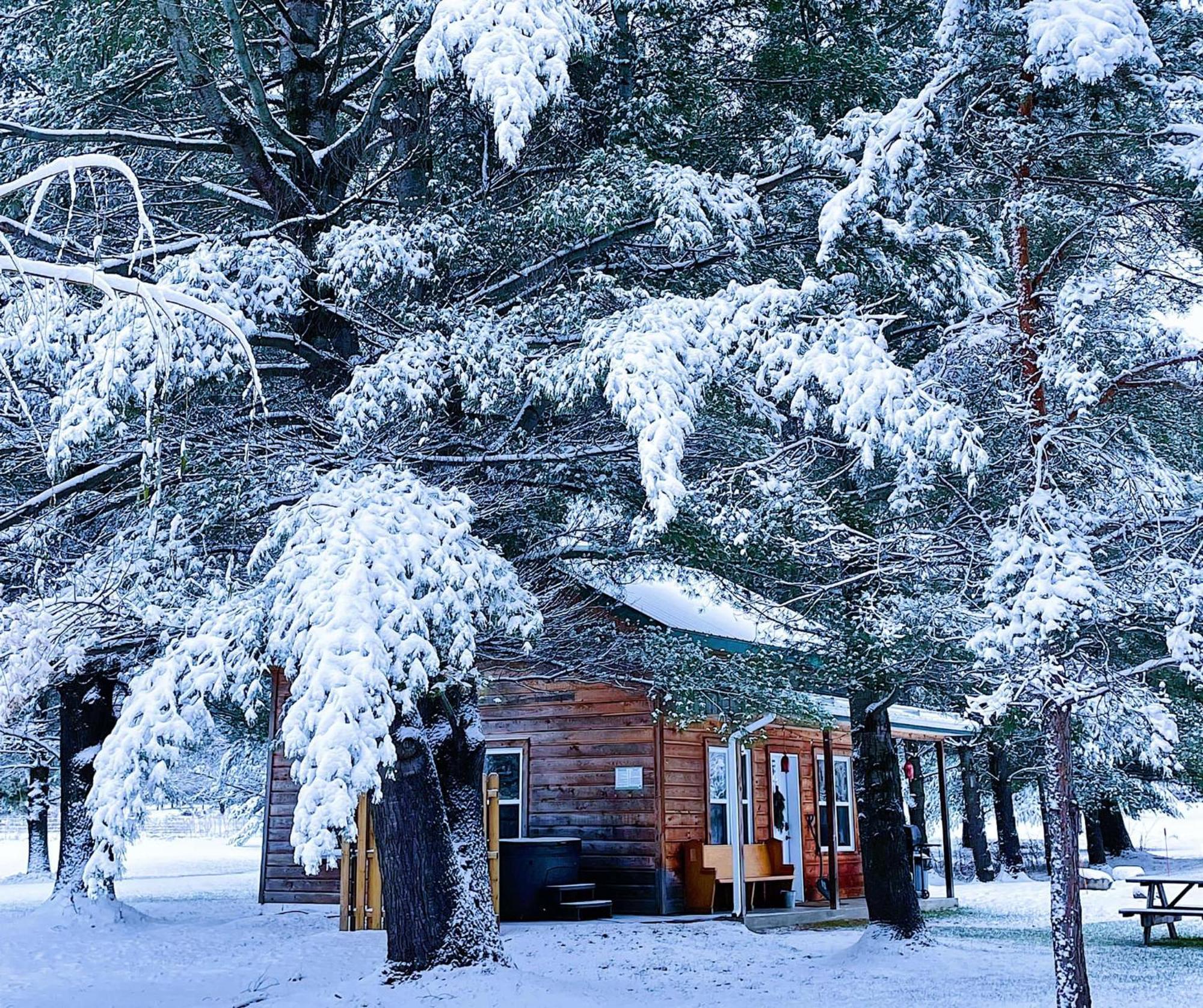 Chalets Du Domaine Yamaska 布罗蒙 外观 照片